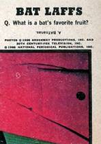 Front and backs of five of the of the Batt Laffs set